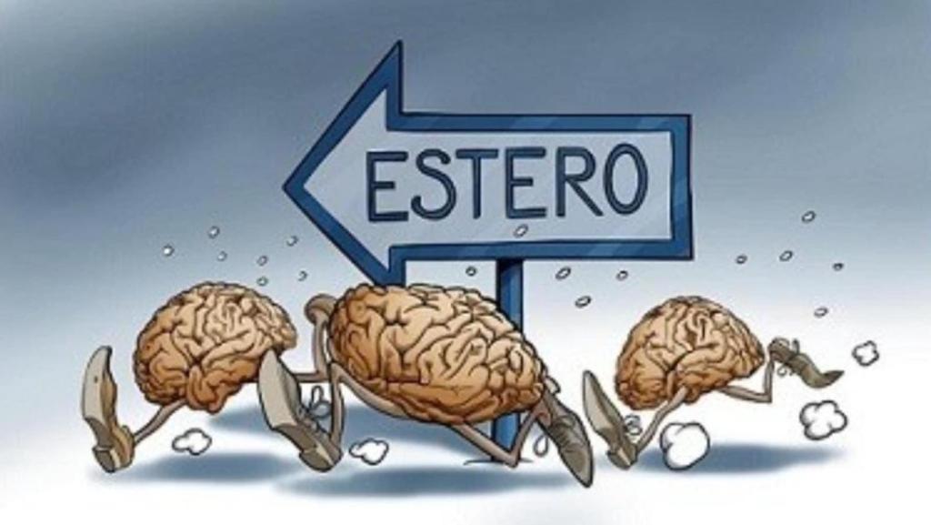 Fuga dei Professionisti Sanitari: Impatto sull’SSN e Bisogno di&nbsp;Cambiamento